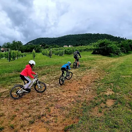 Prima Wellness Badacsony *