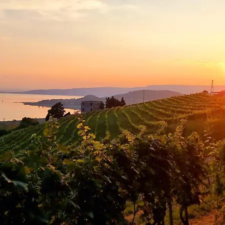 Σπίτι διακοπών Prima Wellness Badacsony Badacsonytomaj